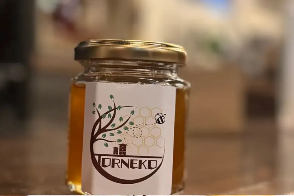 Images BISTRO BAR TORNEKO