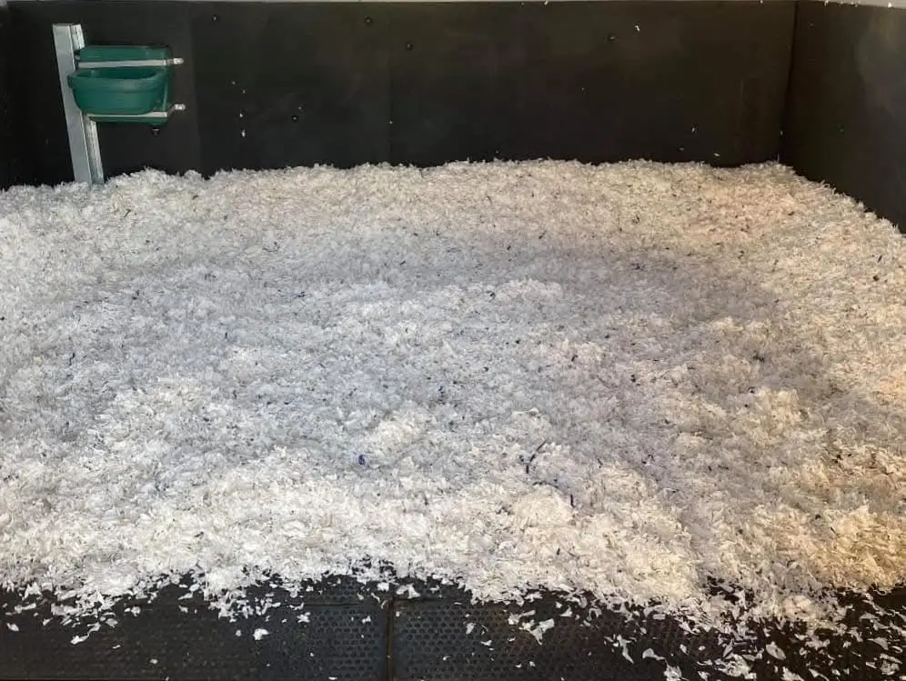 Images Easy Bedding & Feeds Ltd