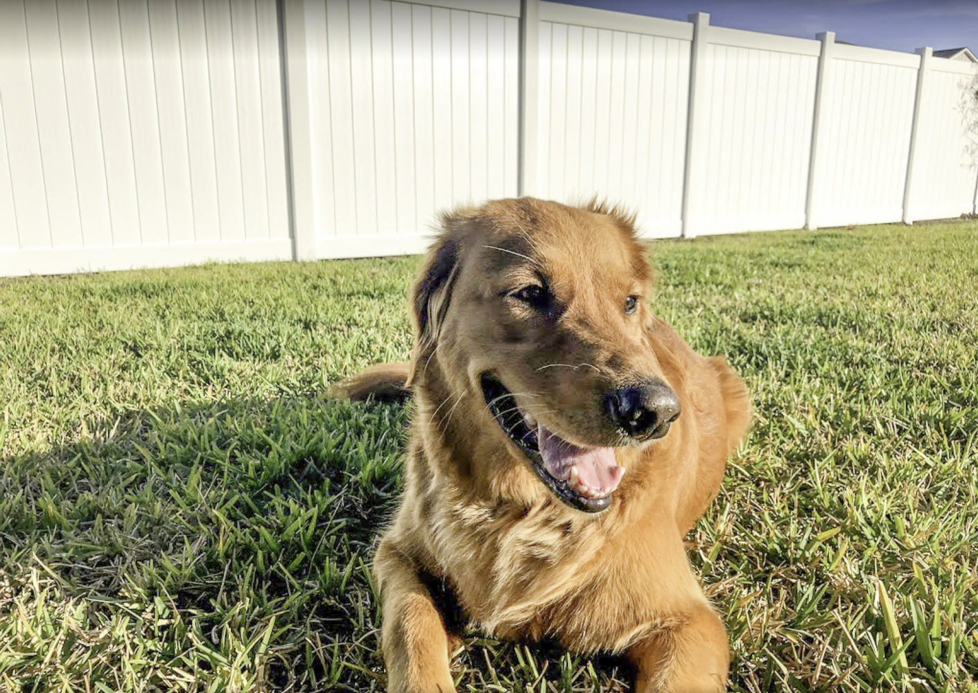 Superior Fence & Rail