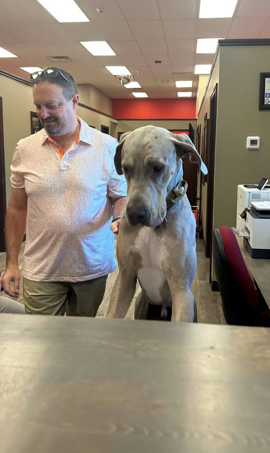 Sometimes Murphy helps collect payments.