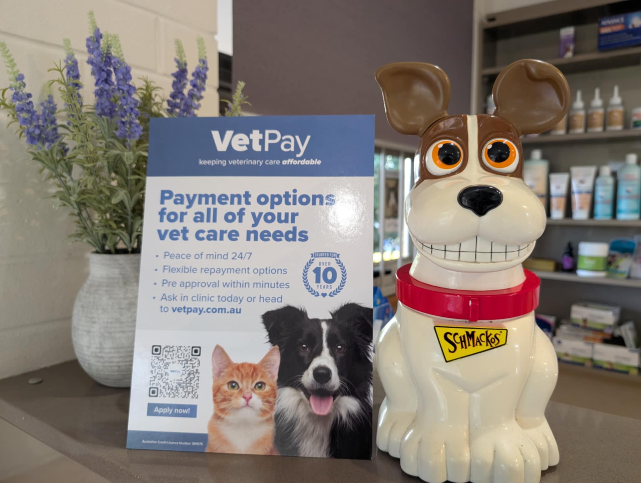 Images Bald Hills Veterinary Surgery