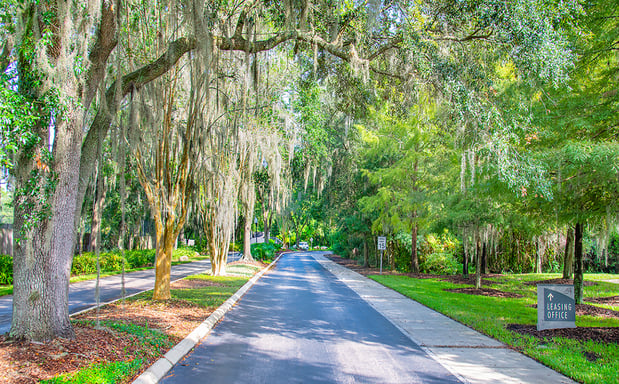 Images MAA Carrollwood