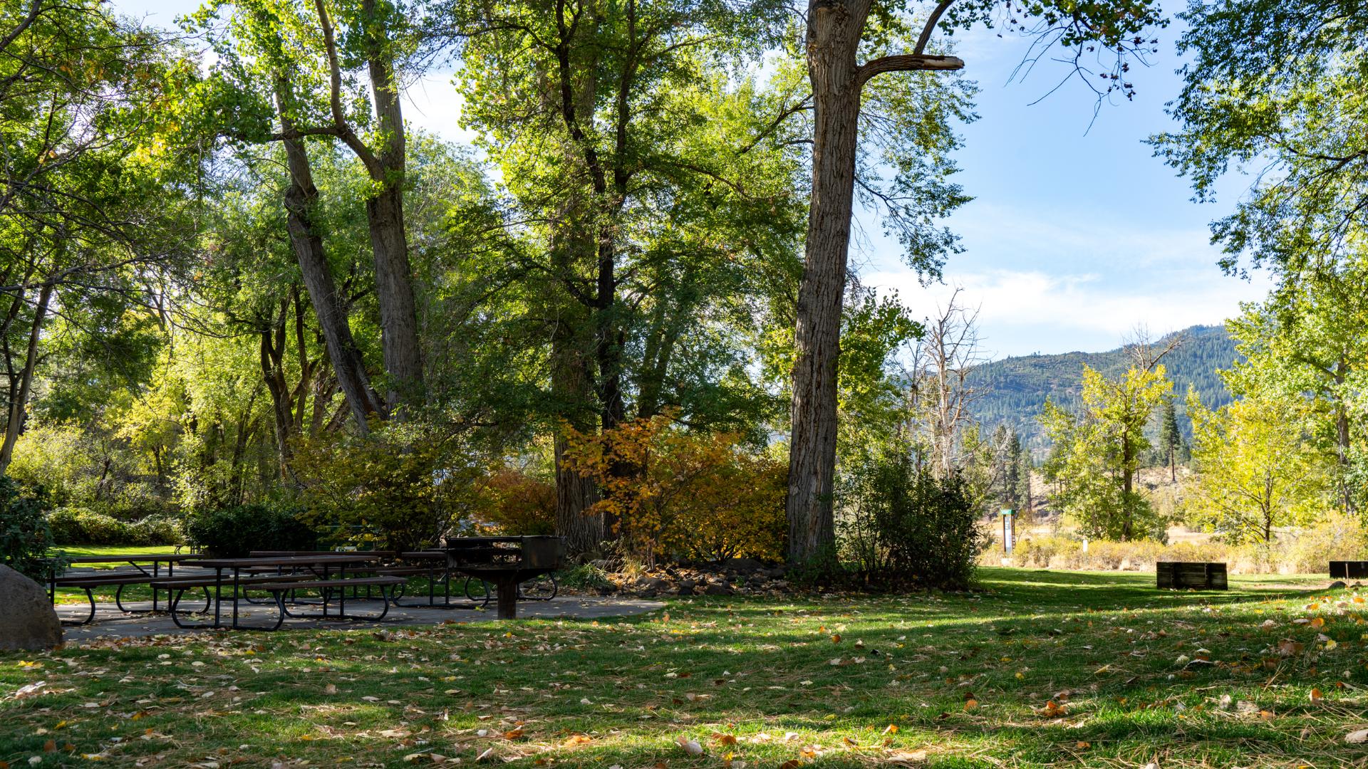 Serene living close to parks and outdoor recreation