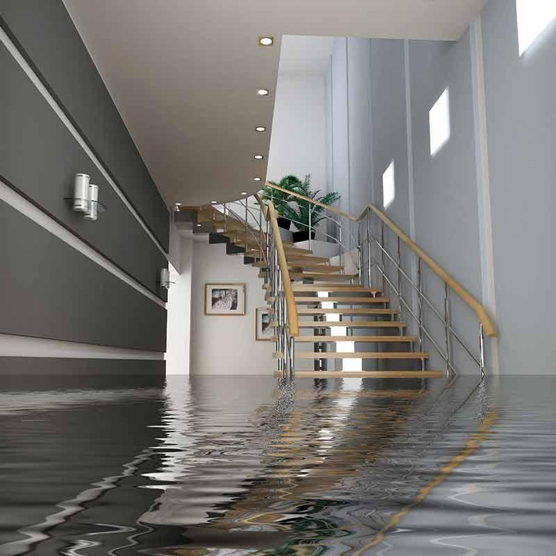 Anytime Restoration Services Inc
