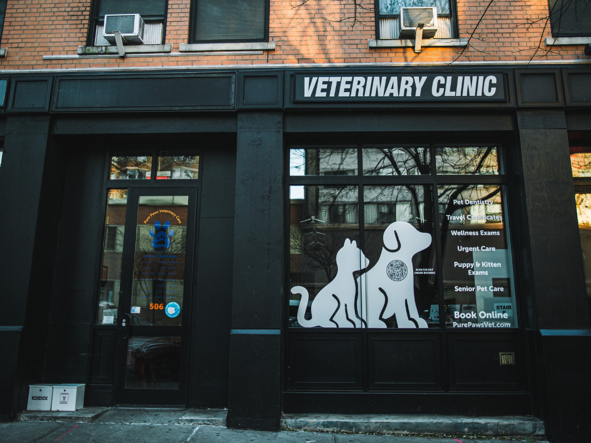 We love our NEW exterior window decals at Pure Paws Veterinary Care of Hell's Kitchen