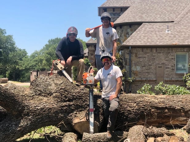 Images 3 Alarm Tree Rescue