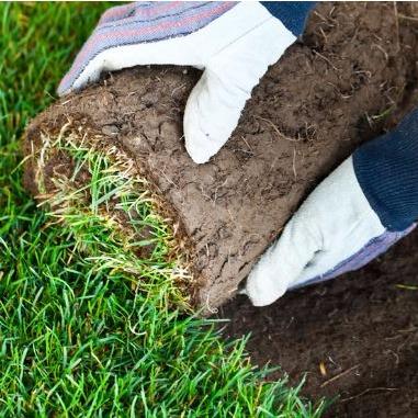 Daytona Landscaping Company