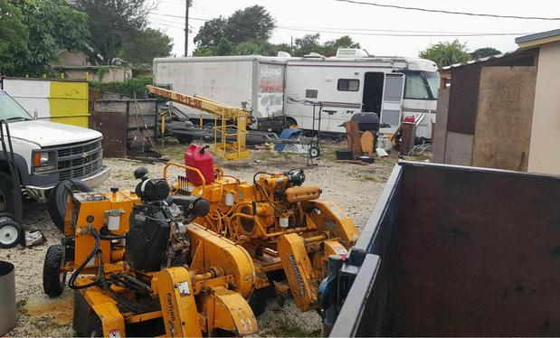 Images Discount Tree Service