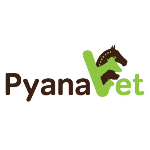 PyanaVet AG Logo