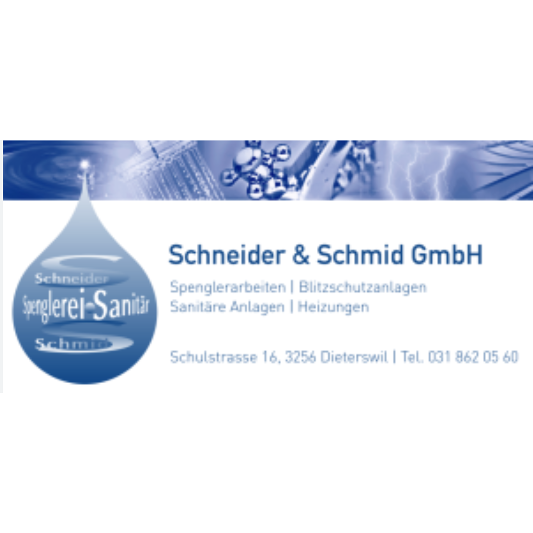Schneider & Schmid GmbH Logo