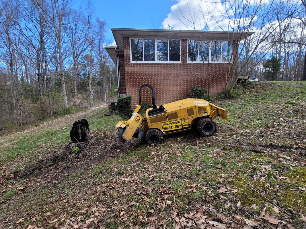 Piedmont Stump Grinding Image
