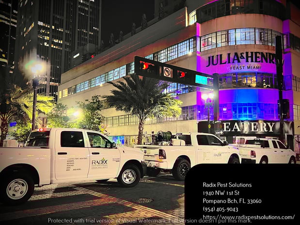 Images Radix Pest Solutions