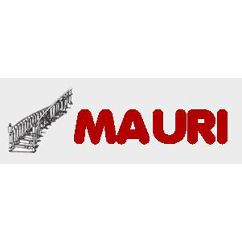 Scale Mauri Logo