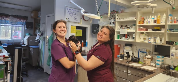 Images VCA Peone Pines Animal Hospital