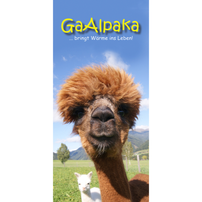 GaAlpaka Wolf Wolfgang - Livestock Breeder - Gaal - 0664 1133290 Austria | ShowMeLocal.com