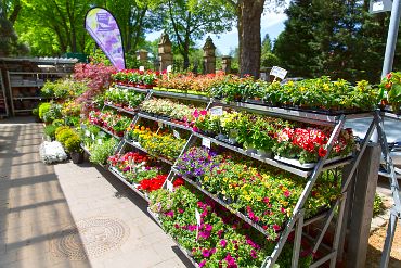 Blumenhaus Harbaum e.K. Inh. Gregor Harbaum, Himmelreichallee 45 in Münster
