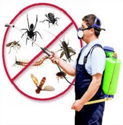 MW Legacy Pest Control