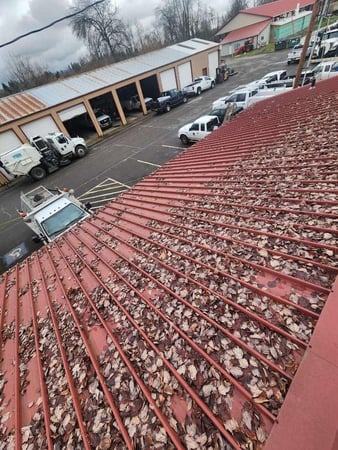 Images NJM Roof & Gutter Cleaning