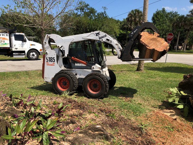 Images A Advanced Tree Service