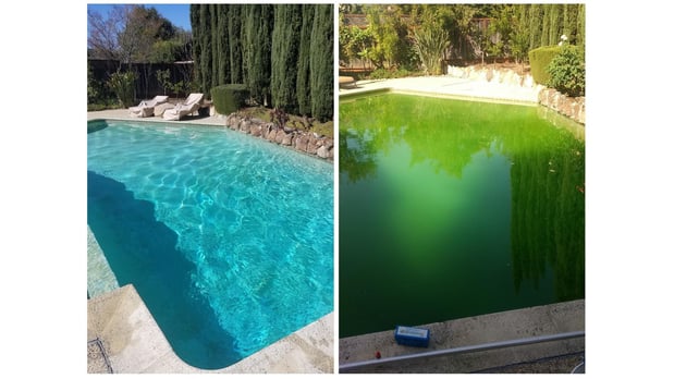 Images Nearby Pool Service