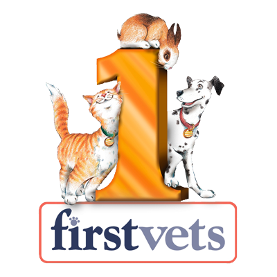 firstvets - Bearsden, Glasgow Logo