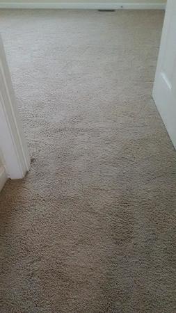 Images Carpet RX of Louisville