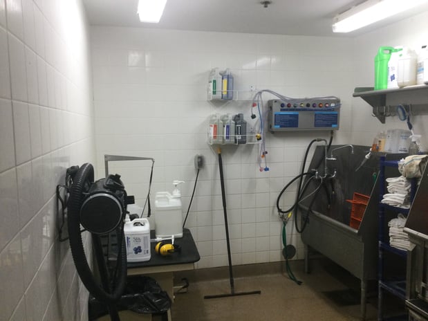 Images Petco Grooming