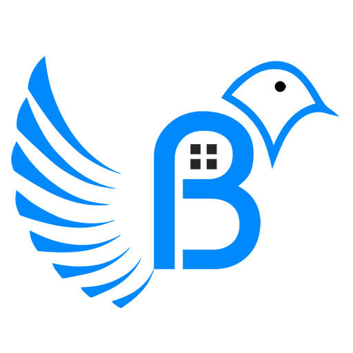 Birdseye Construction LLC Logo