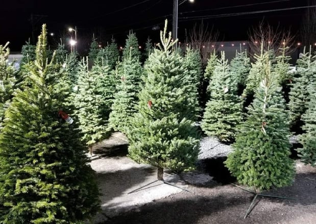 Images Northwest Landscape Supply