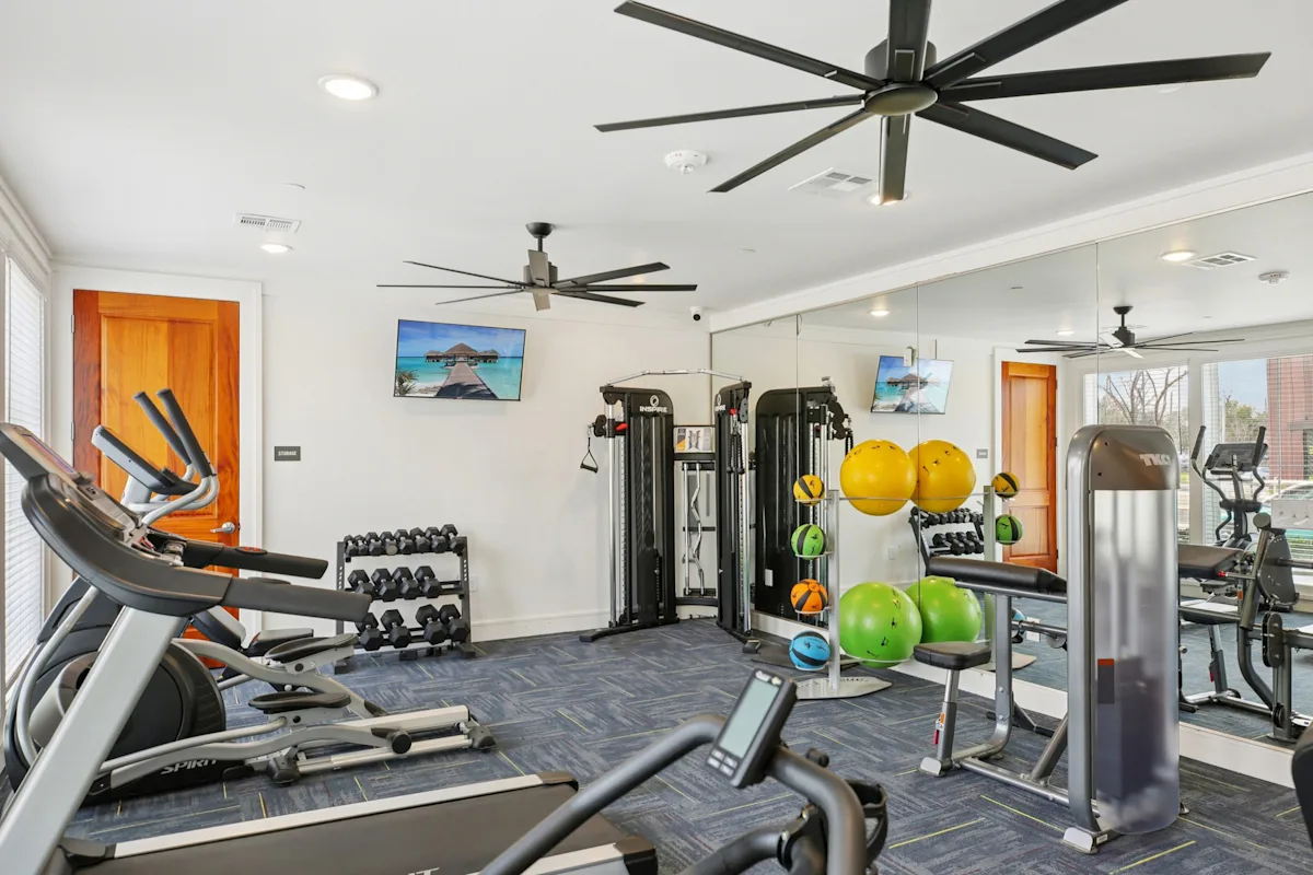 gym 