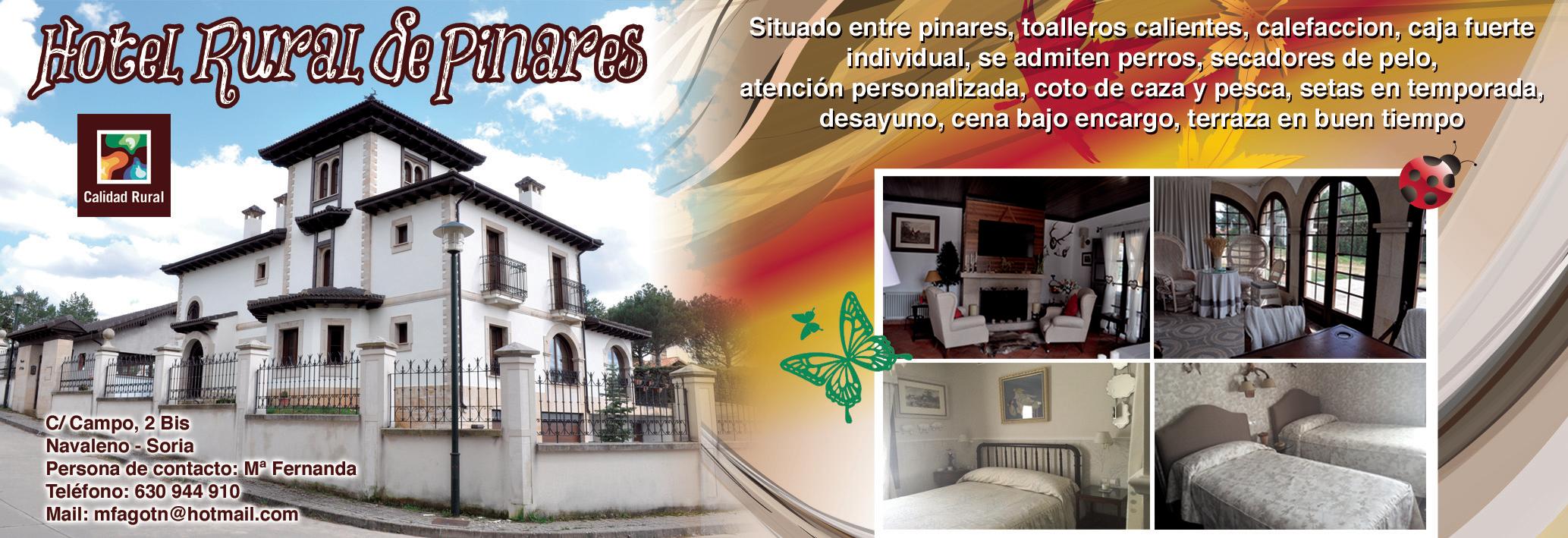 Images Hotel Rural De Pinares