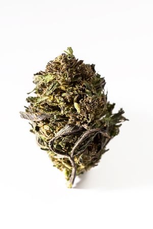 Images THE Dispensary - Kaukauna