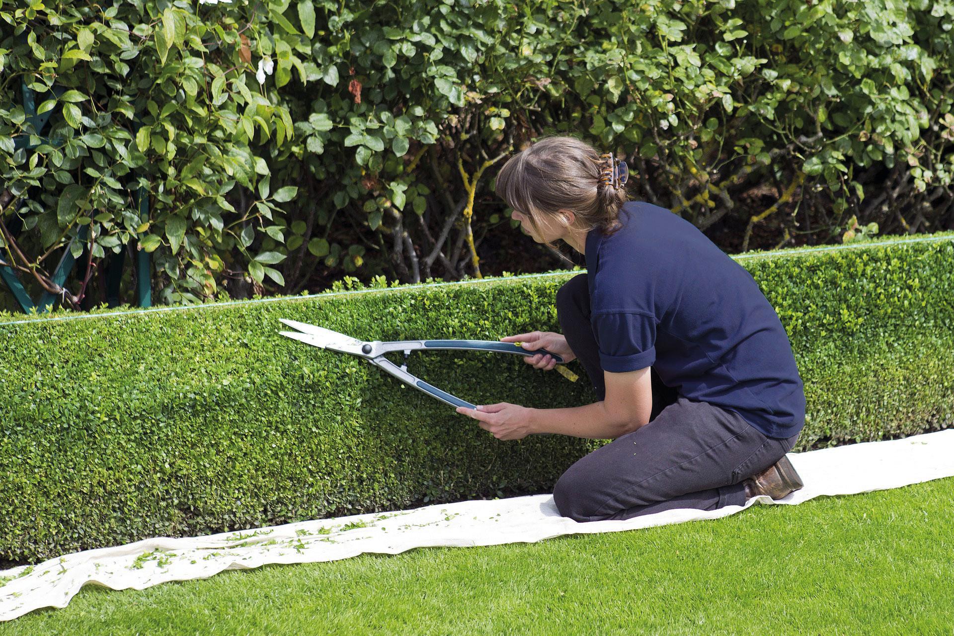 iQ Company AG, Am Klingenweg 12 in Walluf