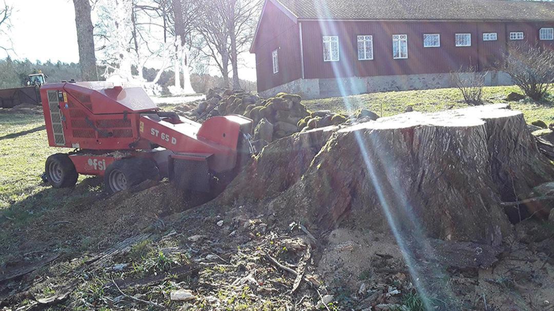 Images Full Fräs Hanssons Stubbfräsning
