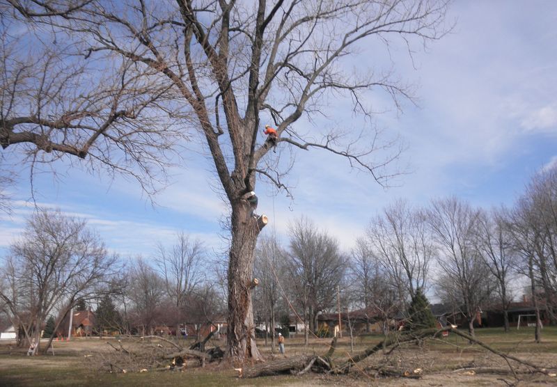 Images Hudson Tree Service