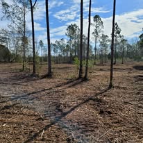 Images J & M Forestry and Mulching LLC