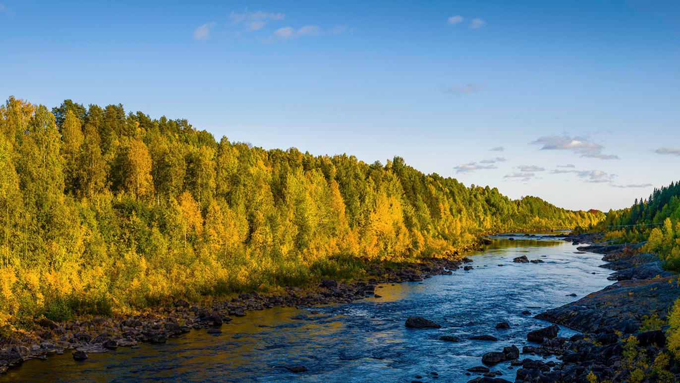 Images Dj Foto och Video - Fotograf Umeå