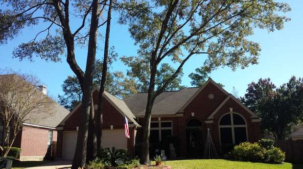 Images TNT Tree Service