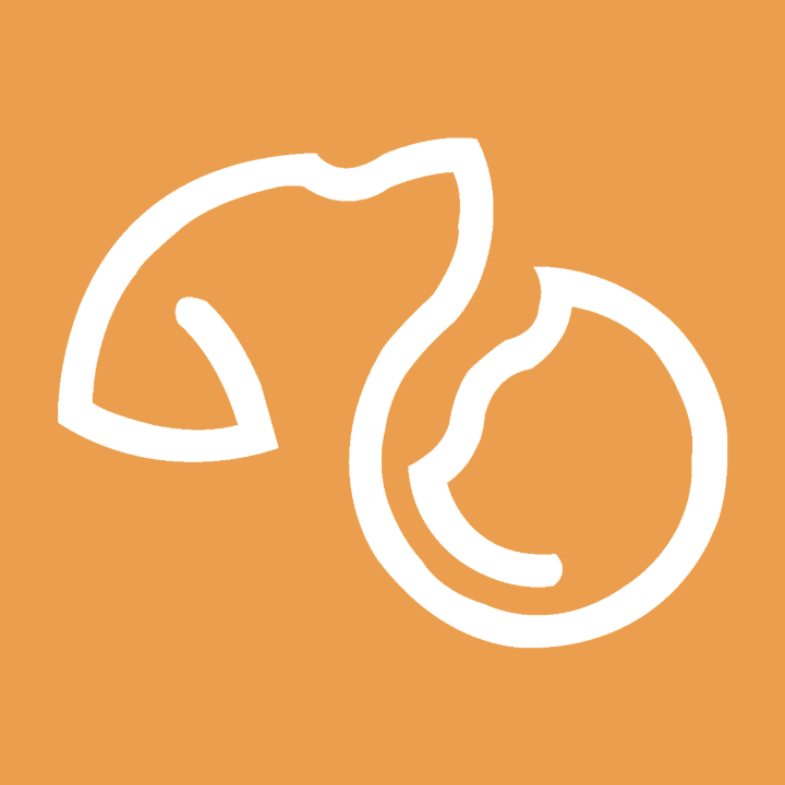 Studio Bel'Bête photographe d'art et de portrait