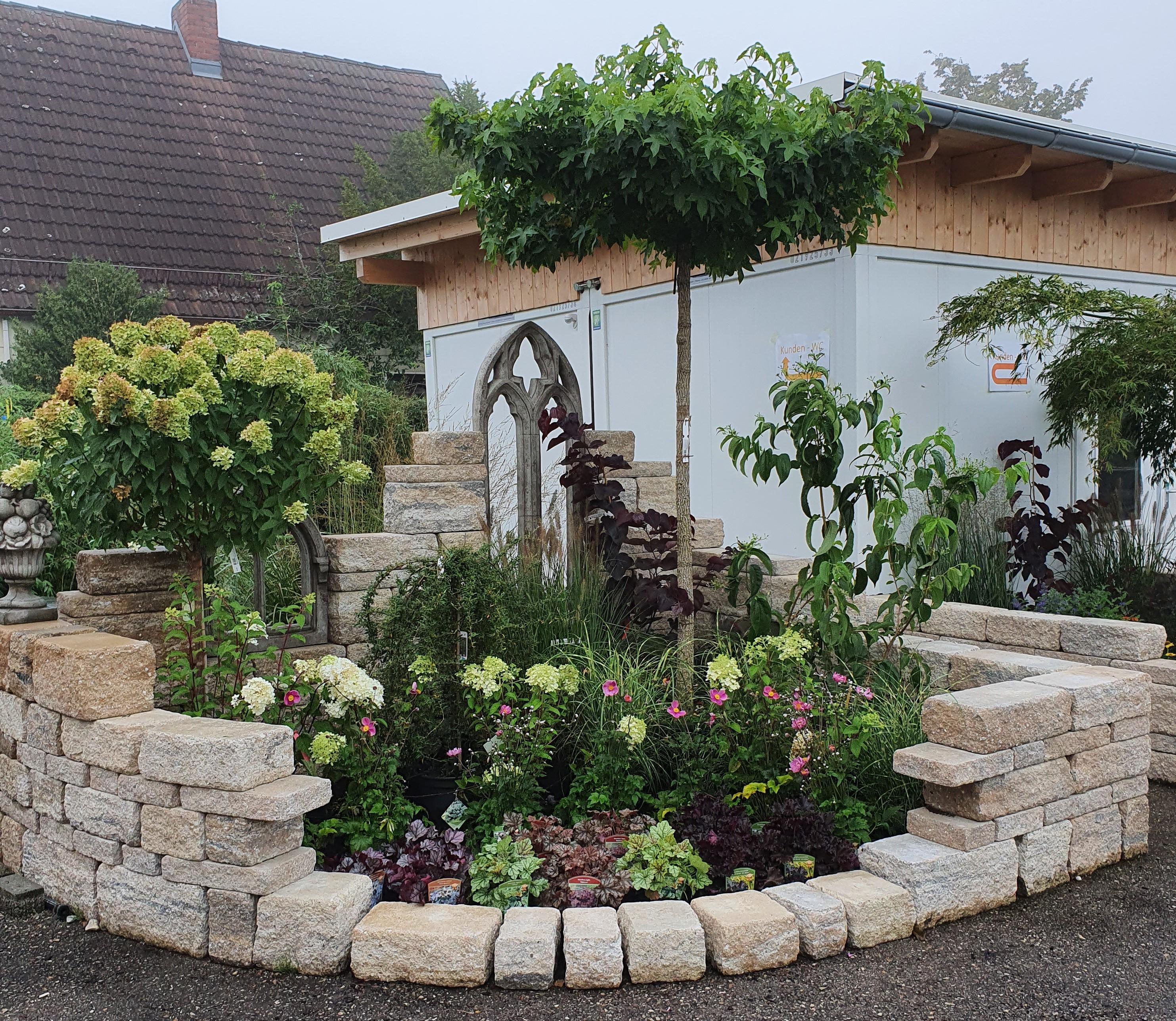 Bild 11 Martin Bayer GbR Garten- und Landschaftsbau, Pflanzenvermietung und Martin Bayer Baumschule in Haar