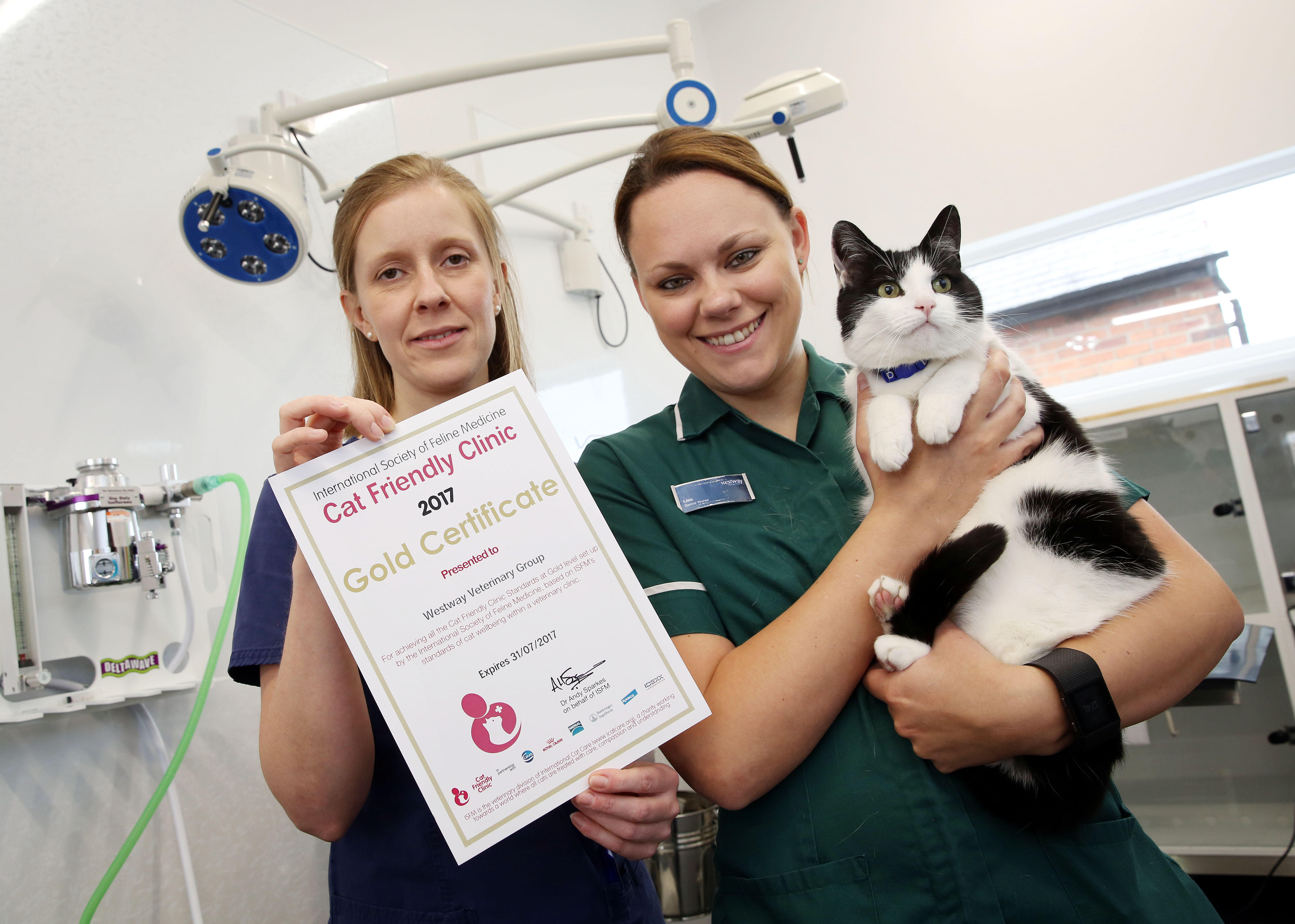Images Westway Veterinary Group, Consett