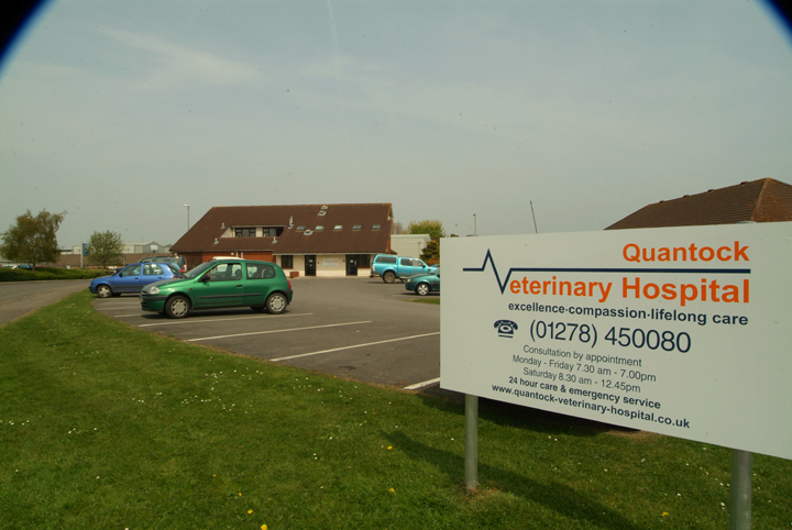 Quantock Veterinary Hospital Bridgwater 01278 450080