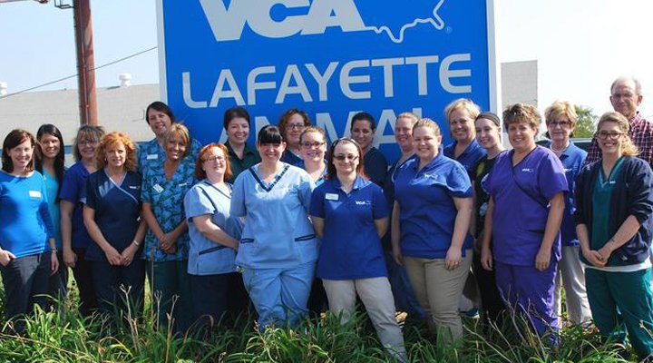 The caring & experienced team at VCA Lafayette Animal Hospital VCA Lafayette Animal Hospital Lafayette (765)637-9188