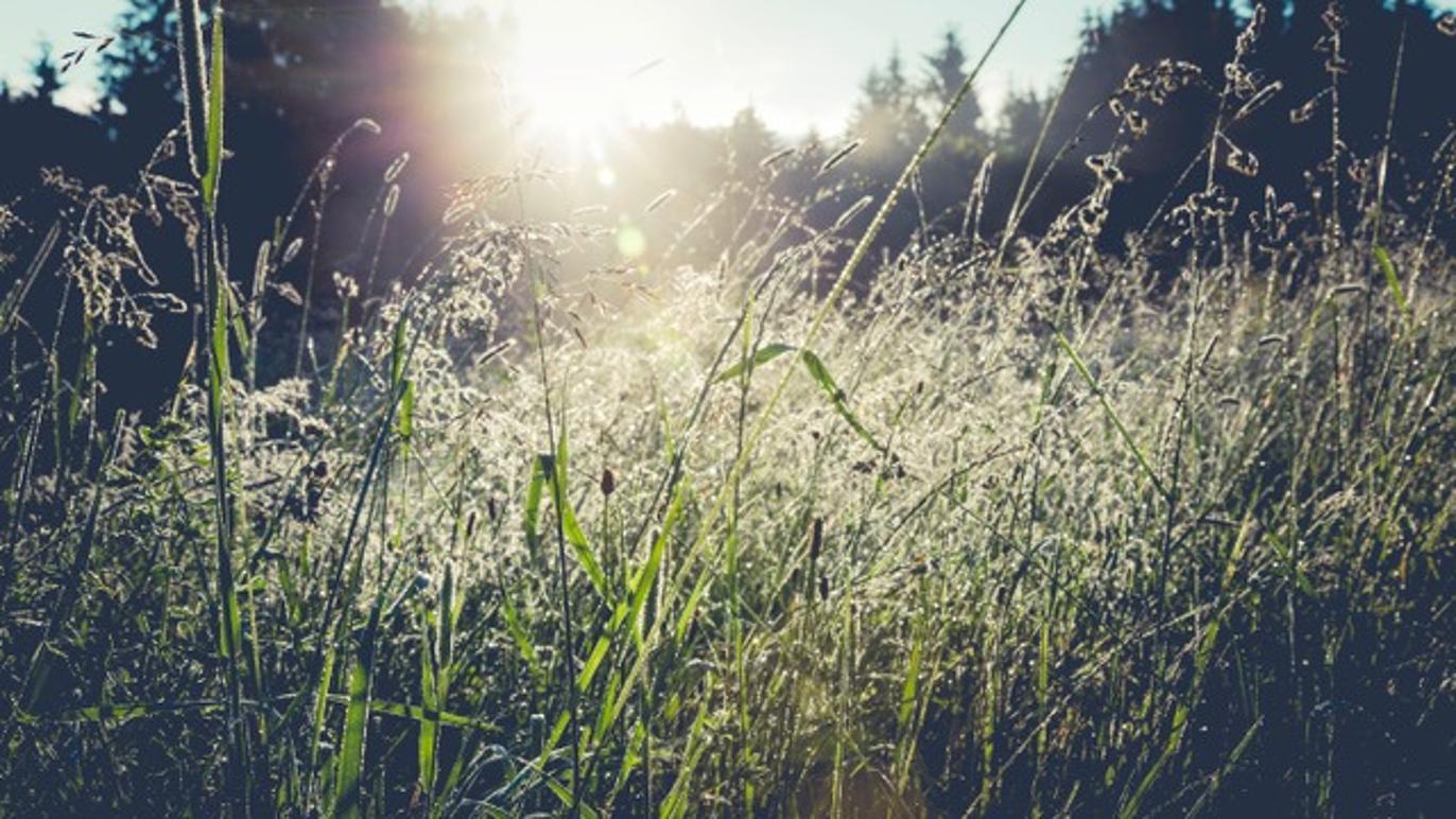 Images Nordisk Sjæl ApS