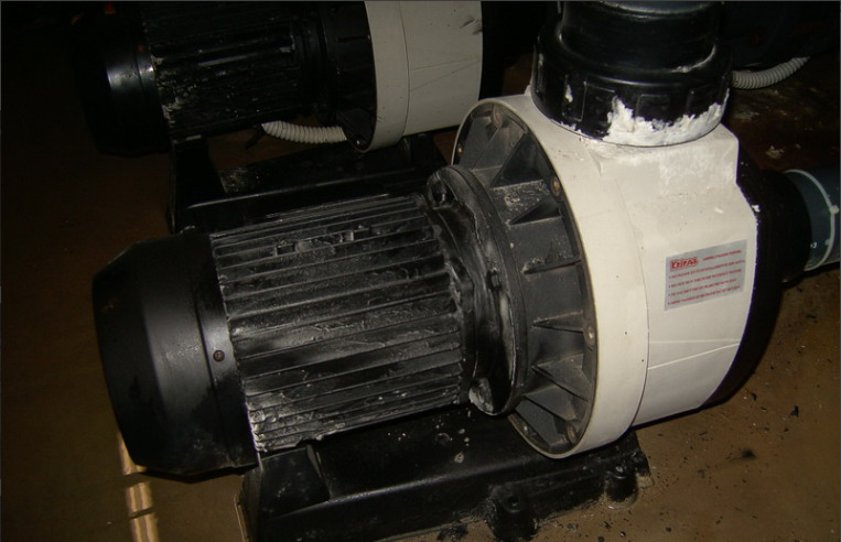 Images CM1 di Cacciatore Michele