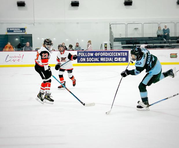 Images Nashville Youth Hockey League (NYHL)