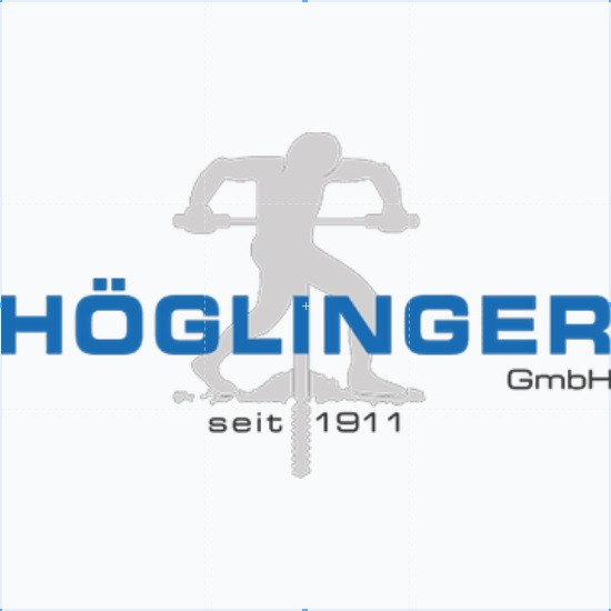 HÖGLINGER GmbH Wels HÖGLINGER GmbH Wels