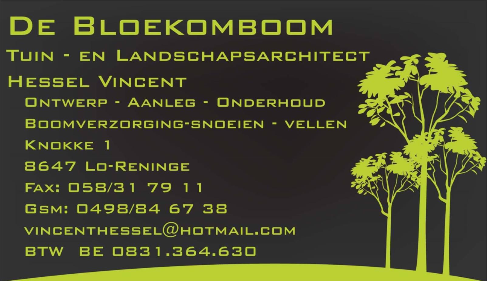 Bloekomboom Tuin En Plantencentra Tuinartikelen Kleinhandel