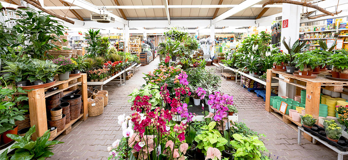 Fotos - OBI Markt Neustadt / Aisch - 37