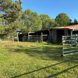 Sniffspot Yolistone Image